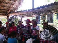 teller-genero-catalinas-manati