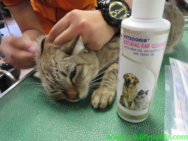 CikLilyPutih The Lifestyle Blogger: Belajar Grooming 