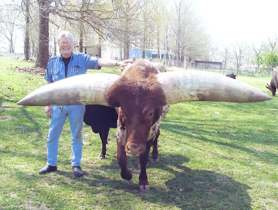 Biggest Horn