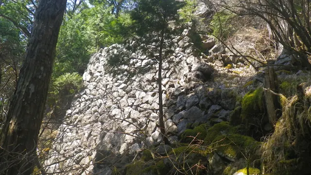 奥白髪山　登山道の石垣