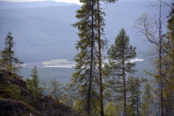 Tuftinåsen Jonskollen