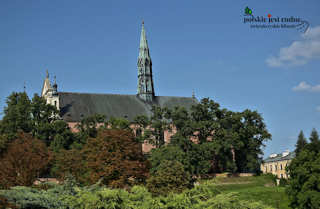 Katedra-sandomierz