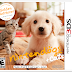 Golden Retriever Nintendogs and Cats