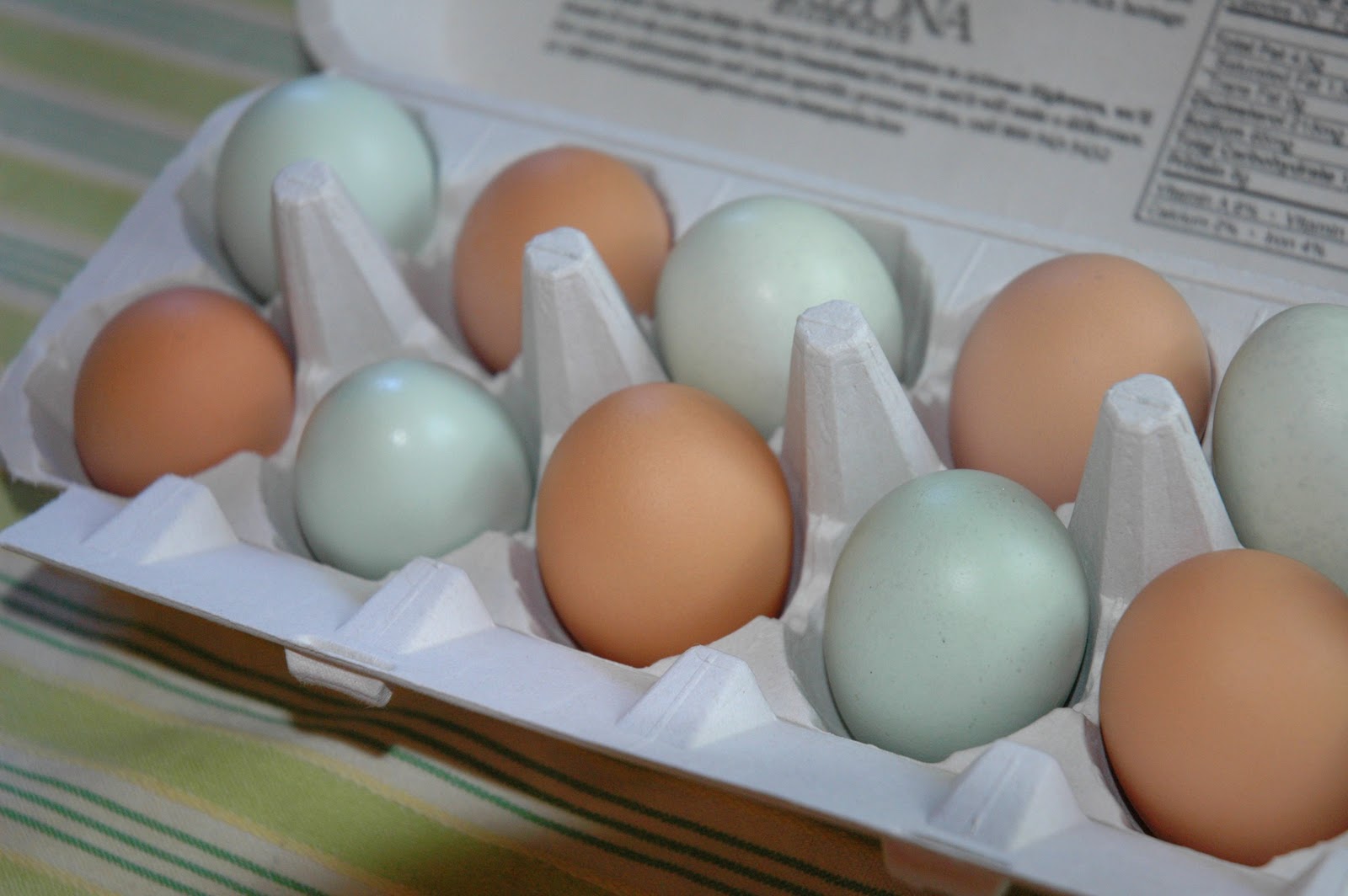 Double S Farms Chickens and a Giveaway - Ramblings from a Desert ...