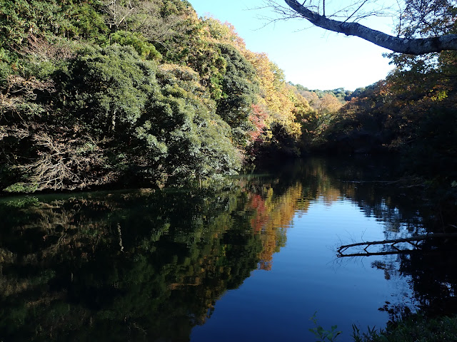 鎌倉湖