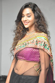 South-actress-hot-saree-photo