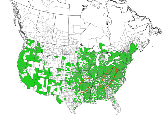 A North American distribution map of Black Locust showing its spread through much of the U.S. and parts of Canada.