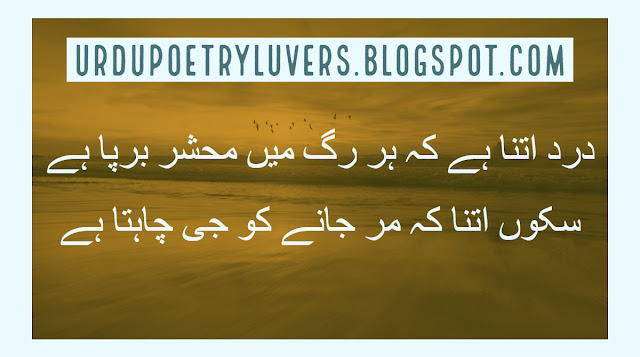 In Urdu Love Poetry