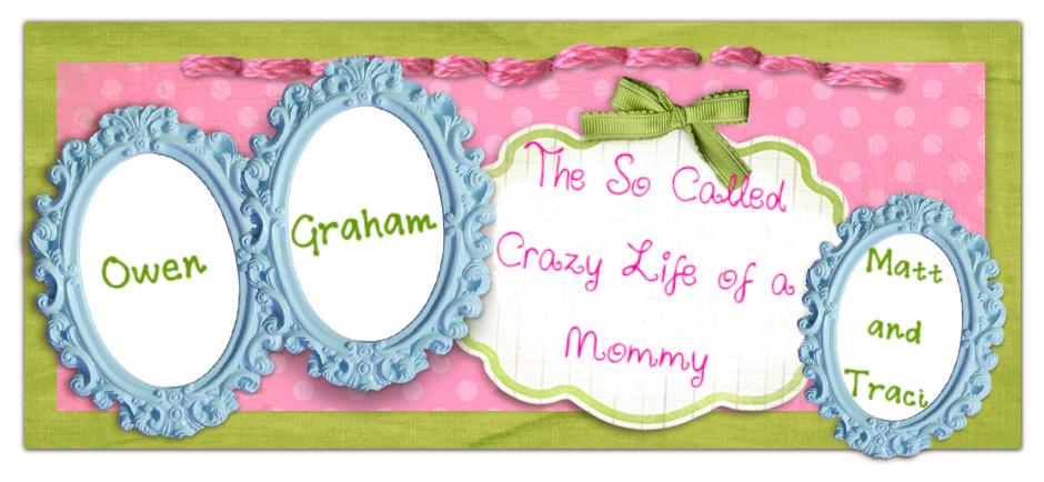 The So Called Crazy Life of a Mommy