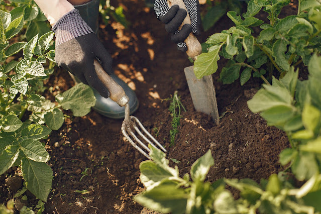 Determine and improve the garden soil