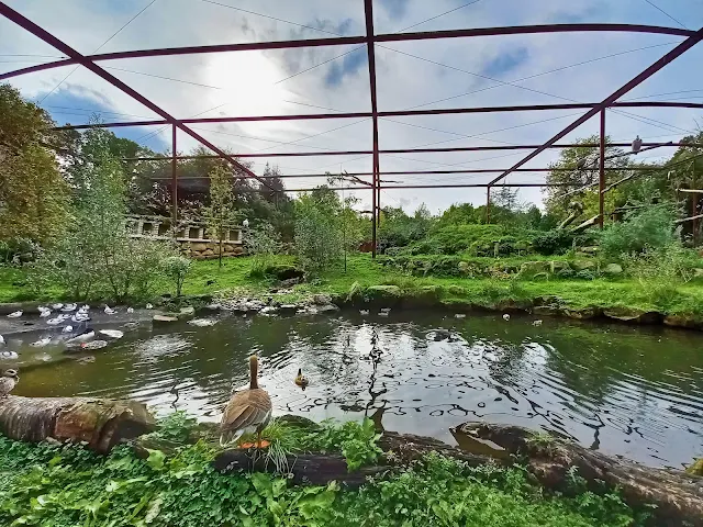 Bird enclosure at GaiaZoo