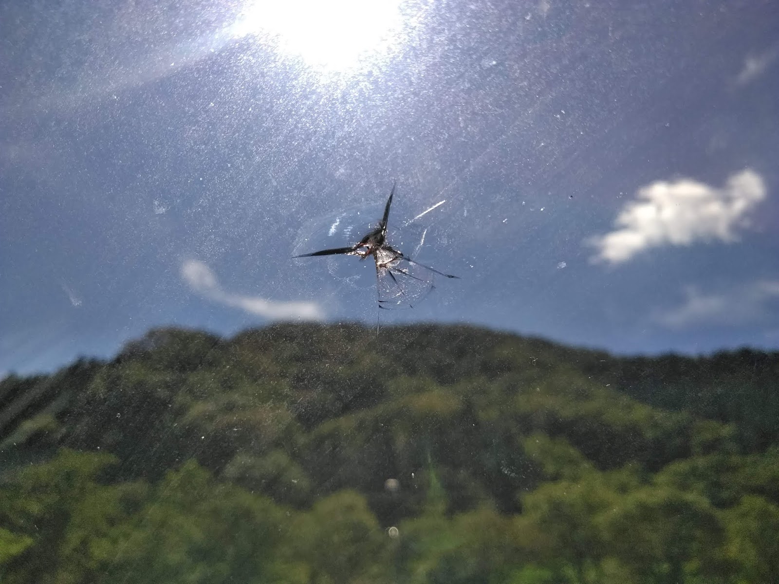 車のフロントガラスにヒビが入ってしまったのでガラスリペアをしてみました でかじよーぶろぐ