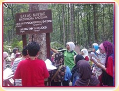sepetang3
