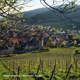 Alsacen viinireitti Riquewihr Ranska viinitarha