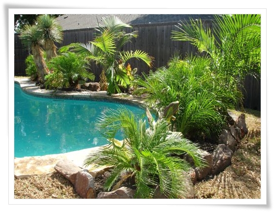 Best Backyard Landscaping Ideas Pictures