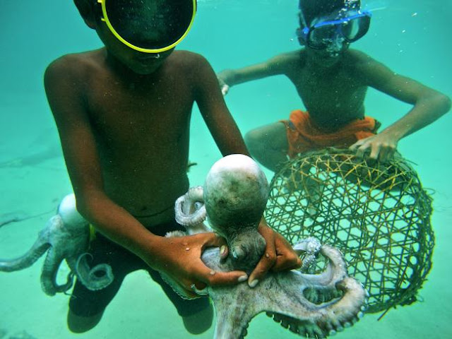 Foto de Ng Choo Kia - Crianças Bajau aprendem a pescar muito cedo, na imagem duas crianças pescam uma lula