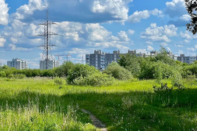 Ромашково, жилой комплекс «Ромашково»