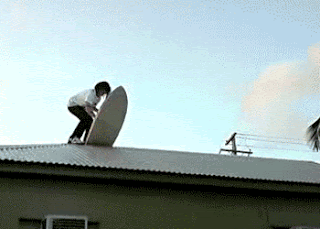 Funny Stupid People Roof Surfboard Animated Gifs