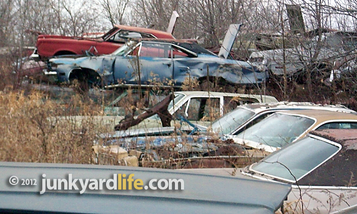 Plymouth Satellite stands