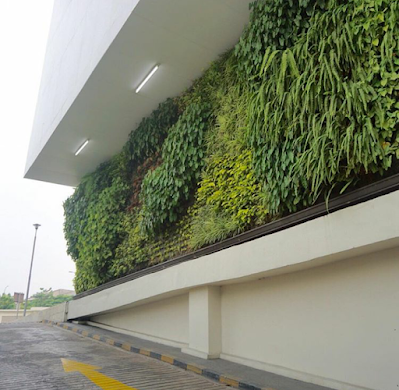 Taman Vertikal Living Wall