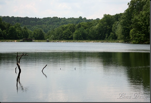 RoseLake_Spillway
