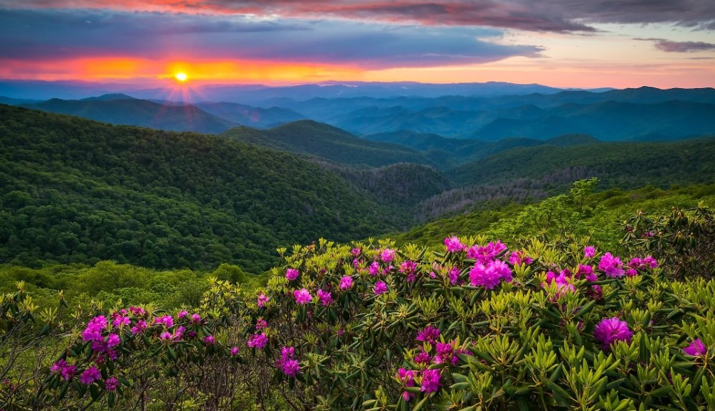 30 Things to Do in TN: Beautiful and Best Places to Visit in Tennessee
