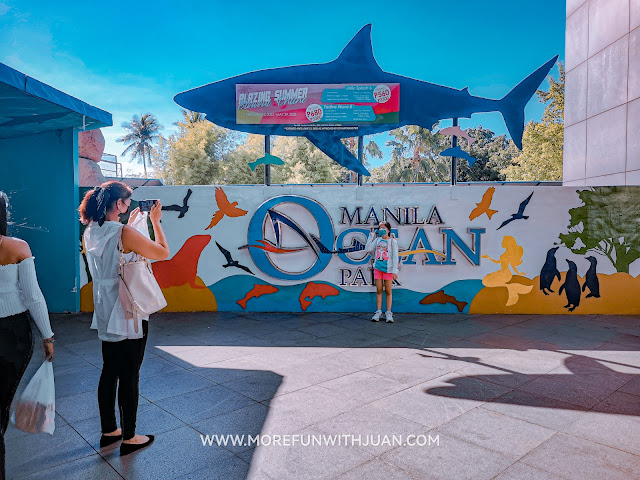 ocean park ticket ocean park manila manila ocean park tickets ocean park ticket price ocean park entrance fee manila ocean park entrance fee 2023 manila ocean park ticket price manila ocean park entrance fee per head 2023