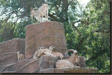 IMG_4354 (Medium)