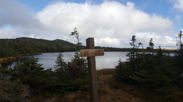 Lac Quiscale