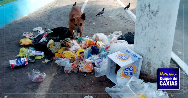 Caxias intensifica campanha de coleta de lixo no segundo distrito