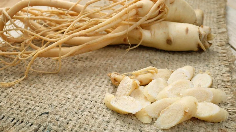 Ginseng nedir? ne işe yarar? ginseng çayı, ginseng macunu, ginseng tozu, ginseng ne için kullanılır? amerikan ginsengi, kore cinsengi, kırmızı ginseng neye iyi gelir?