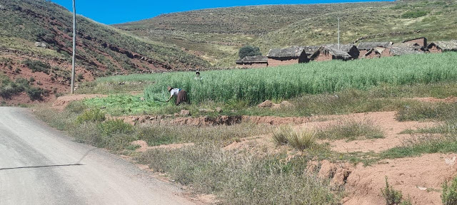 Begleiten Sie mich auf dem Weg nach Q'araqochi Bolivien. Ich bringe Gottes Wort und Unterstützung in Form von Schulmaterial für die Schüler der Bildungseinheit.