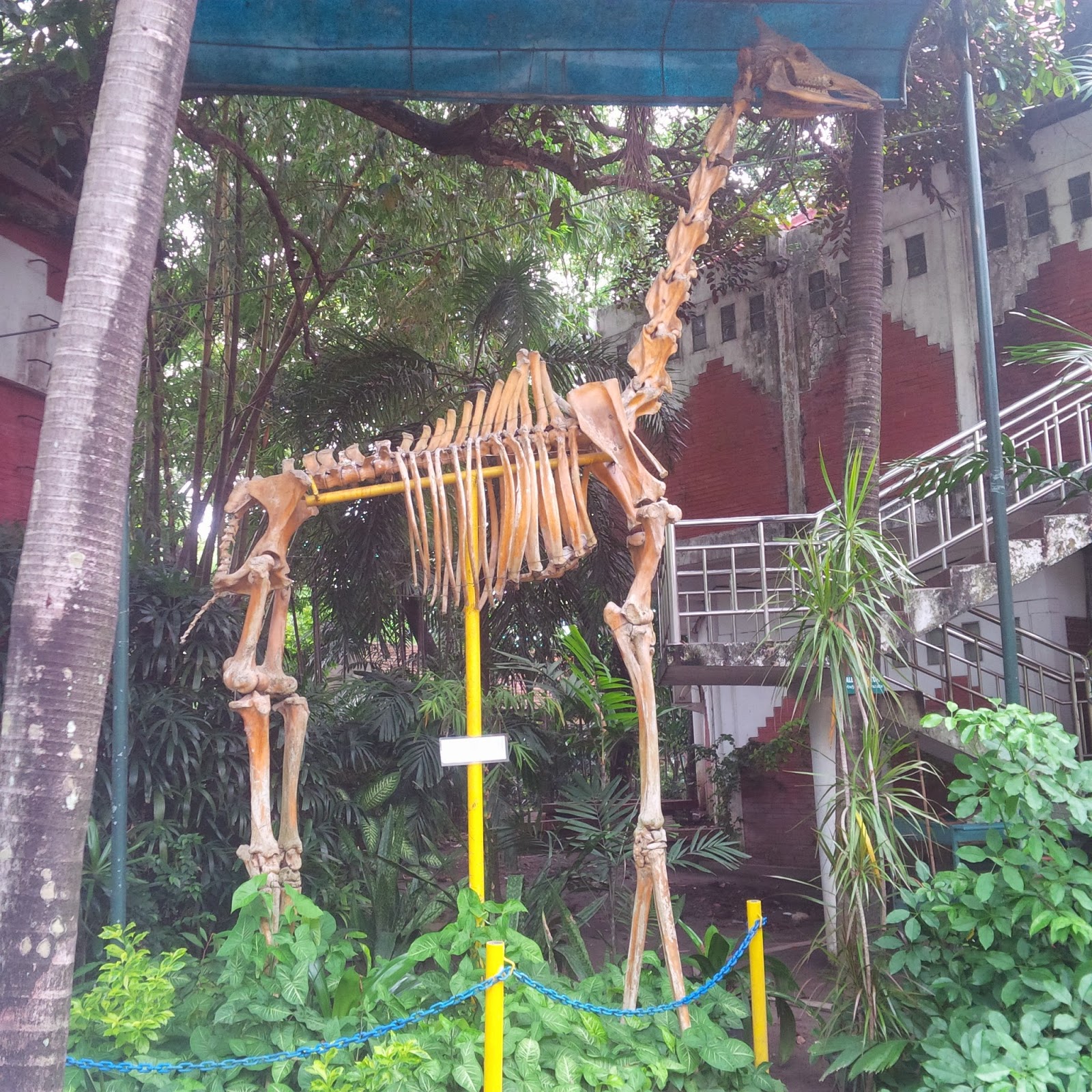  Surabaya ZOO  