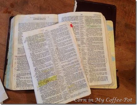 bible before ephesians OUT