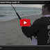 2.06 metre Bull Shark beach fishing caught off the Gold Coast