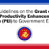 Guidelines on the Grant of the Productivity Enhancement Incentive (PEI) to Government Employees