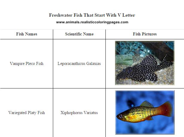 List of freshwater fish beginning with V