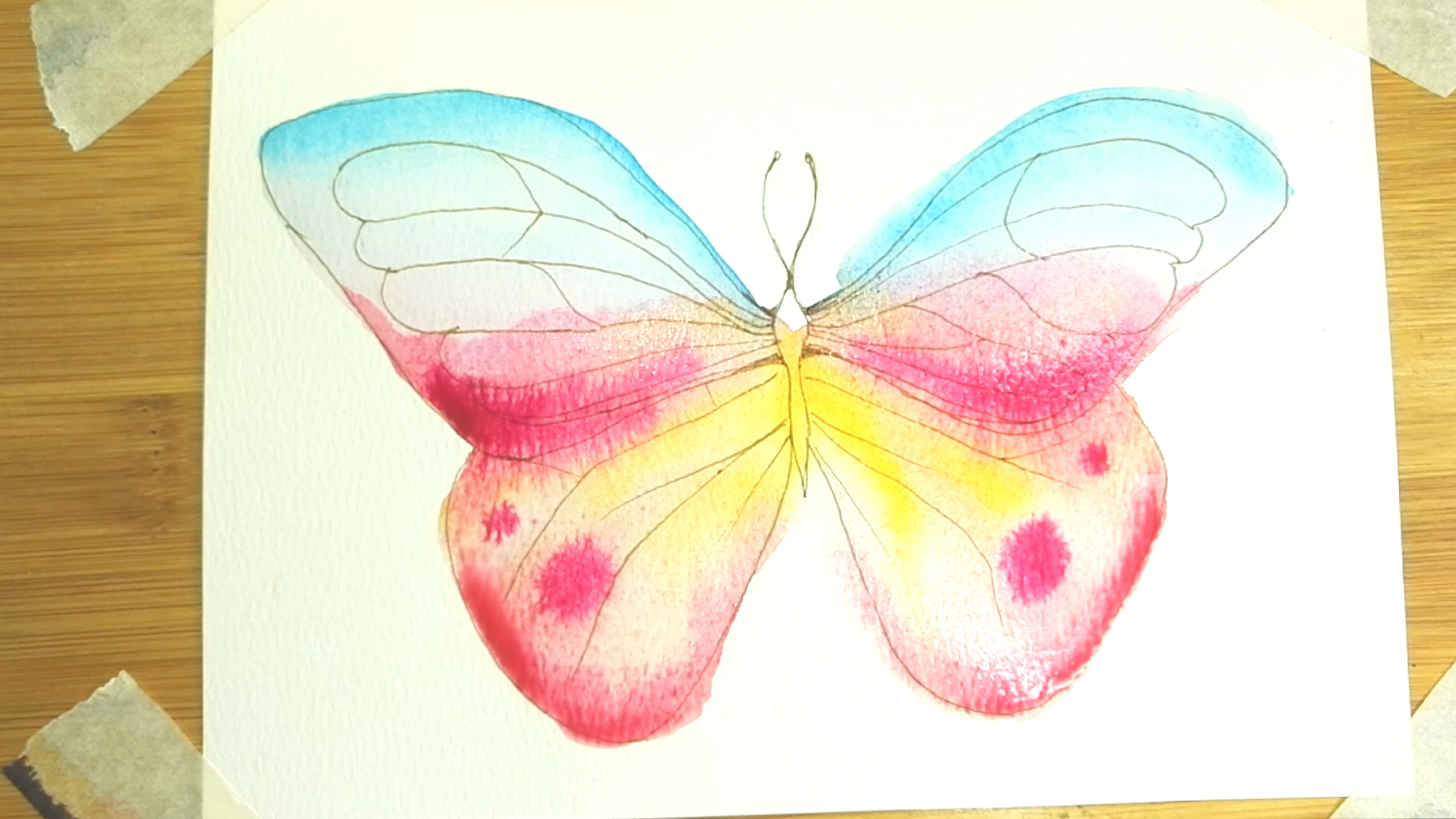 How to draw Watercolor butterfly step by step tutorial easy