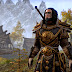 elder scrolls online guides