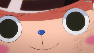 ワンピースアニメ 1039話 チョッパー ランブルボール 副作用 Tony Tony Chopper | ONE PIECE Episode 1039