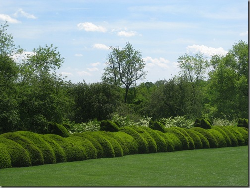 ladew garden days 097
