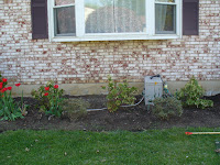 In Windows Front Landscaping Of