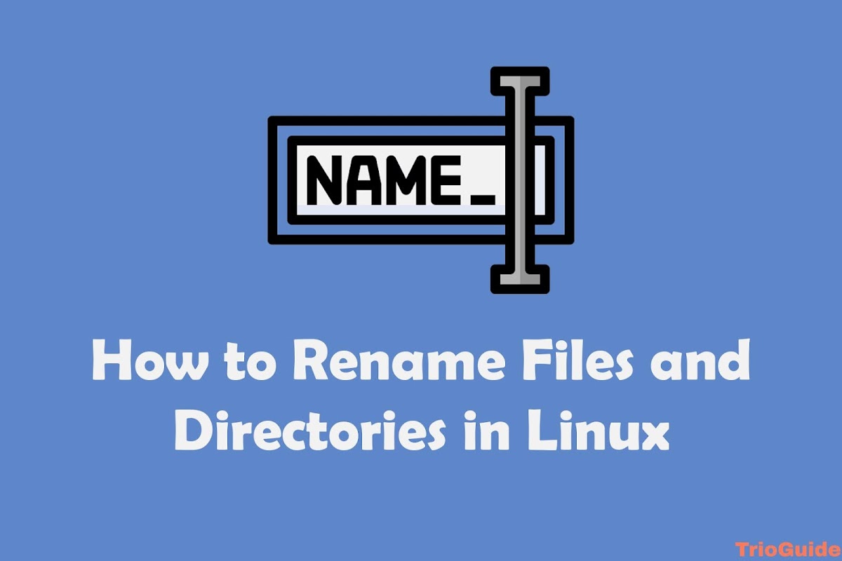 How to Rename Files and Directories in Linux