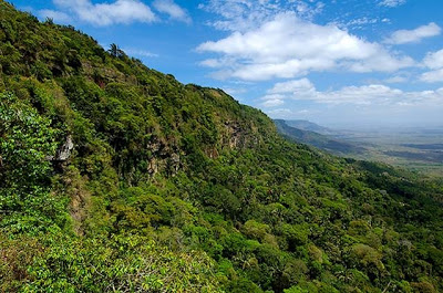 Corpo em total estado de decomposição é encontrado em mata de difícil acesso na Serra da Ibiapaba