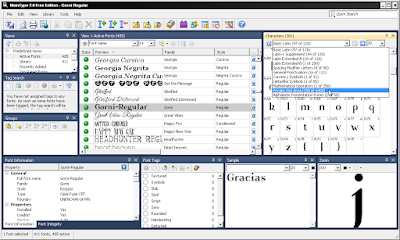 Uso de caracteres privados en maintype