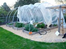 what is aquaponics aquaponics is a combination of aquaculture the ...