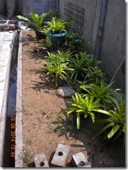 Halaman telah ditutup pasir