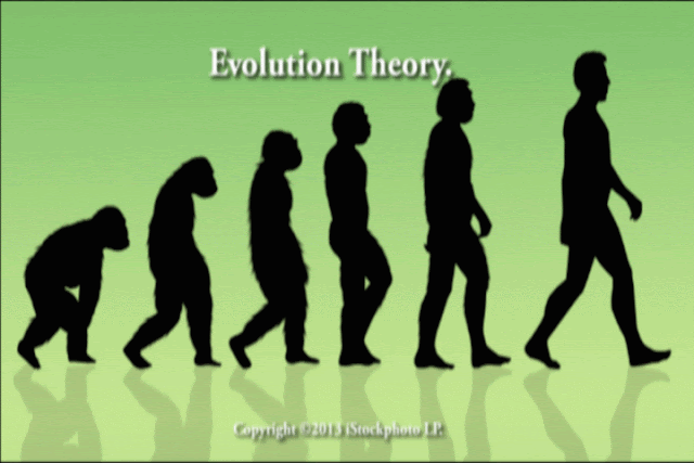 Also read Is Evolution FACT? Mostly By Simon Brown.