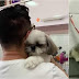 Shih tzu se recusa a ser tosado se não for pelo seu ‘tio’ favorito no pet shop