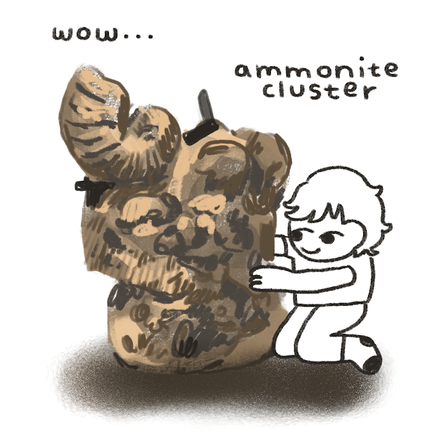 A drawing of a girl embracing a cluster of ammonites. Text reads: "wow... ammonite cluster".